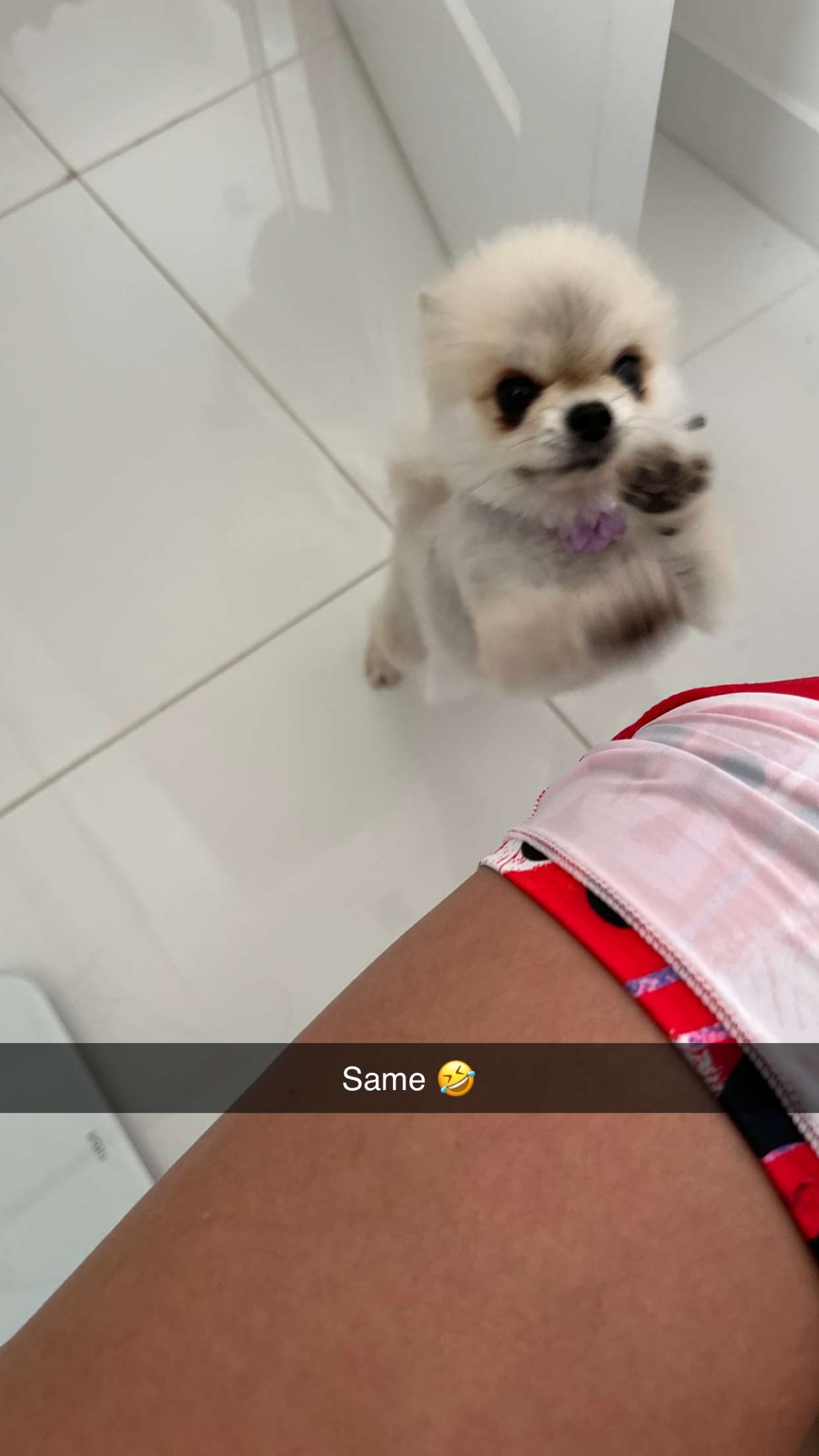 yaslenxoxo snapchat image archive image