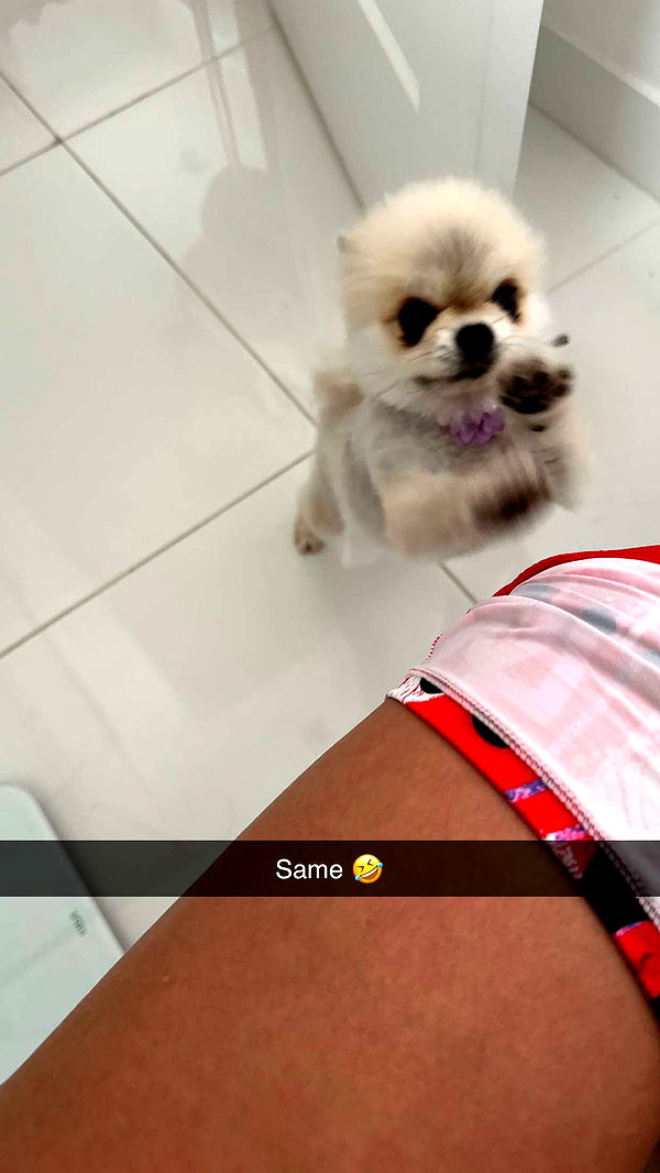 yaslenxoxo image ~ Altpins