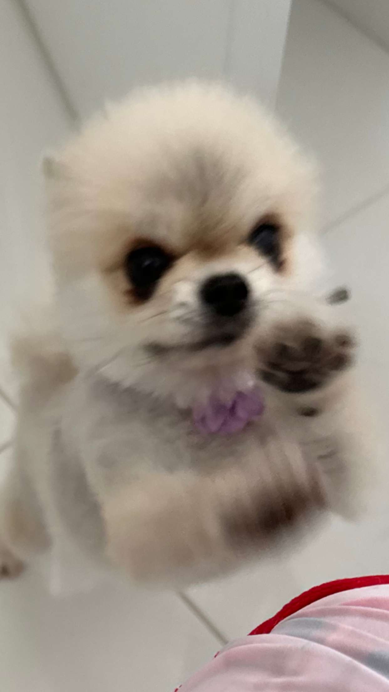 yaslenxoxo snapchat image archive image