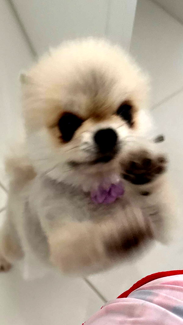 yaslenxoxo image ~ Altpins