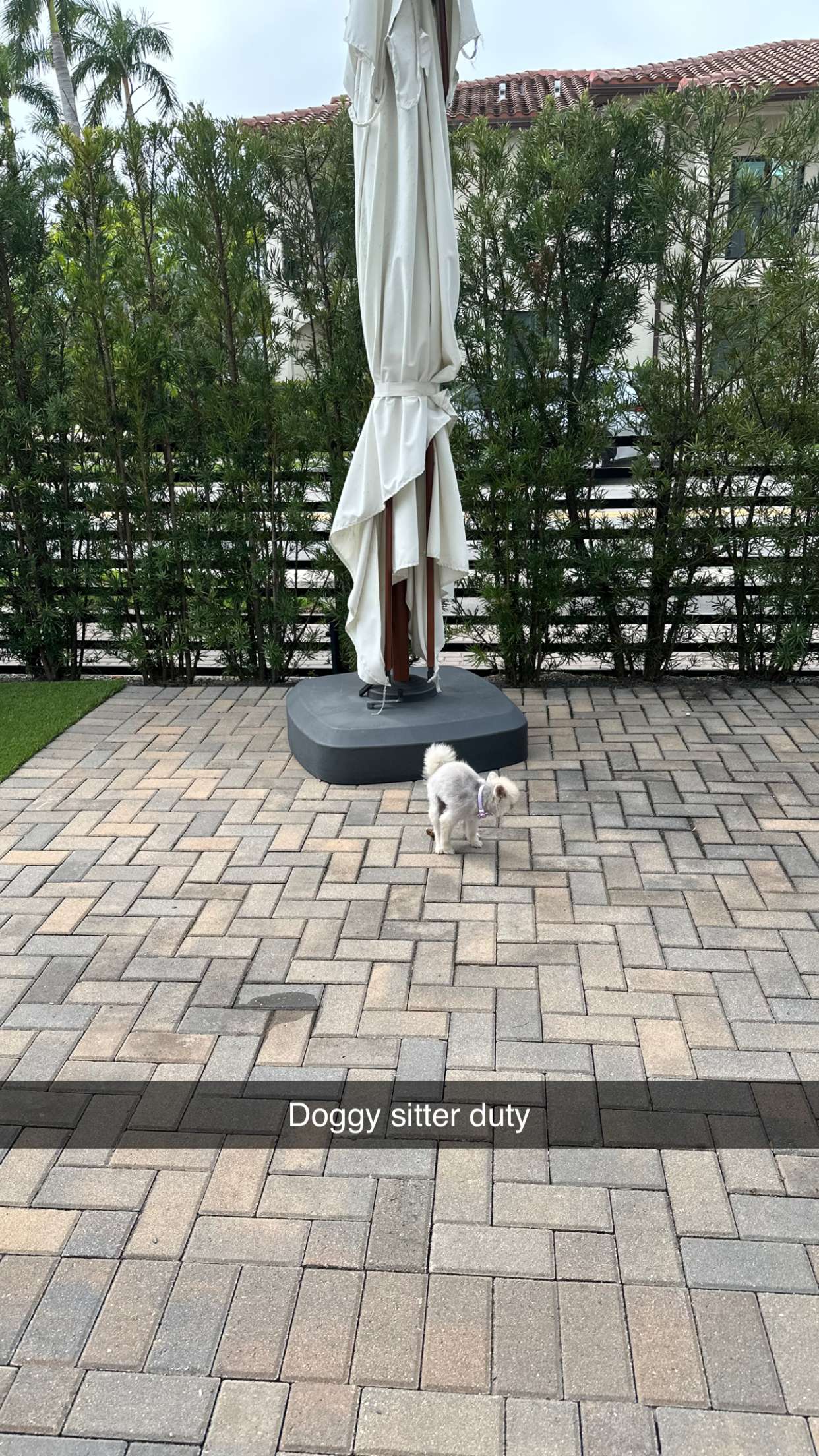 yaslenxoxo snapchat image archive image