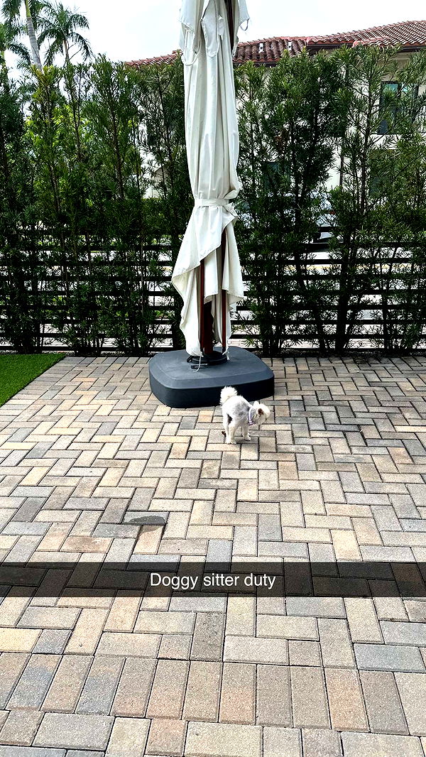 yaslenxoxo image ~ Altpins