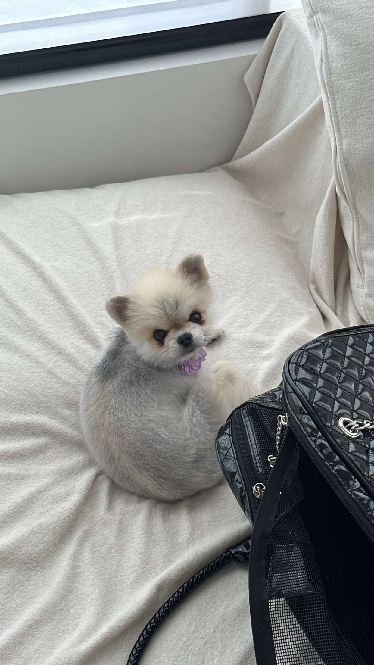 yaslenxoxo snapchat image archive image