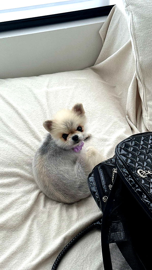 yaslenxoxo image ~ Altpins