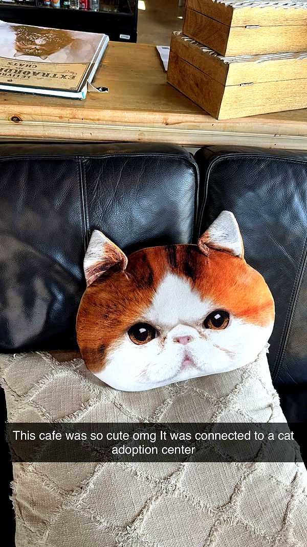 yaslenxoxo image ~ Altpins