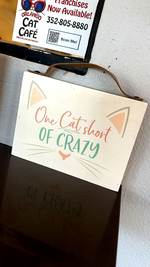 yaslenxoxo image ~ Altpins