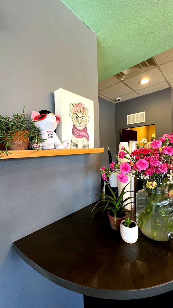 yaslenxoxo image ~ Altpins