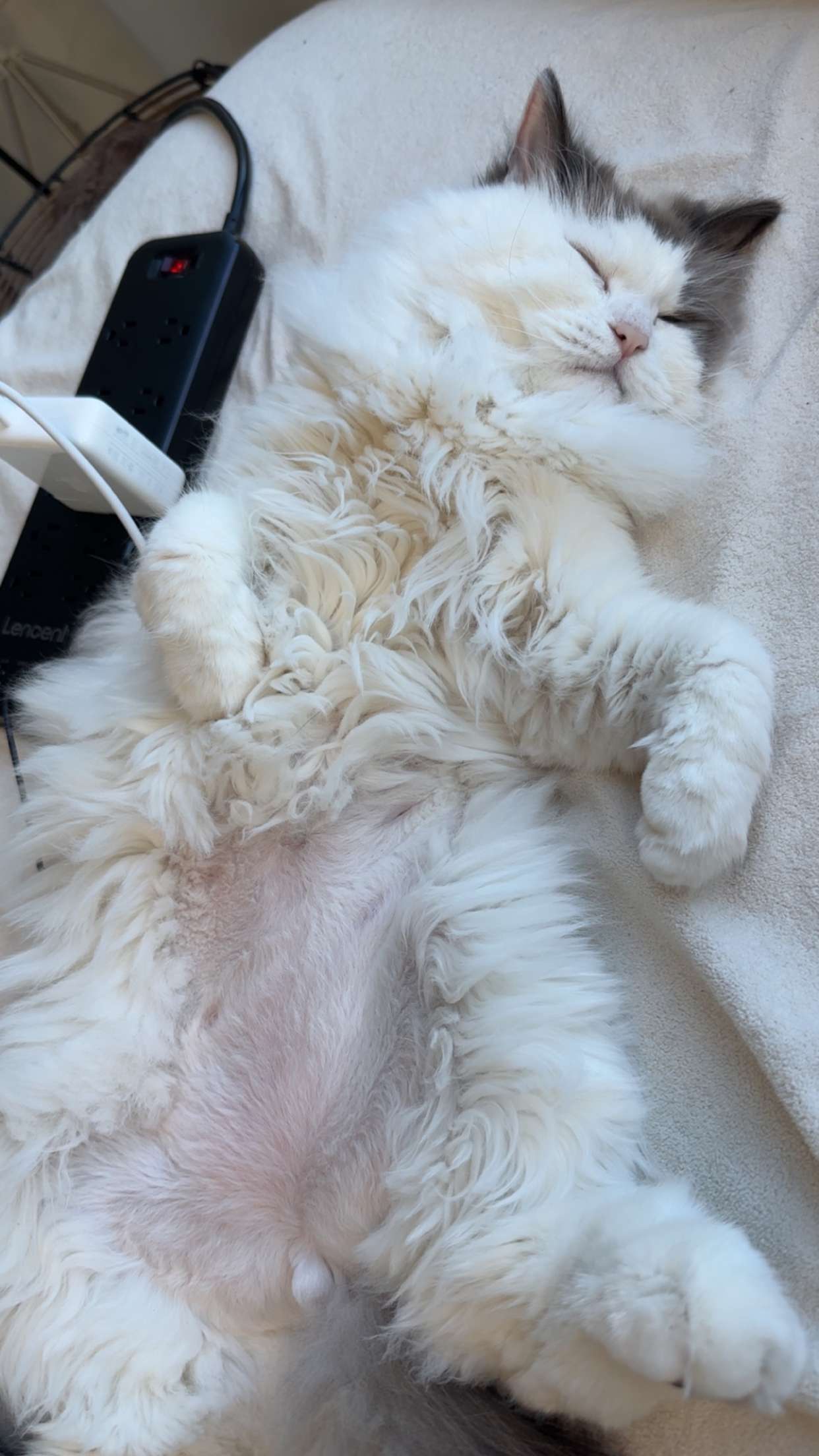 yaslenxoxo snapchat image archive image