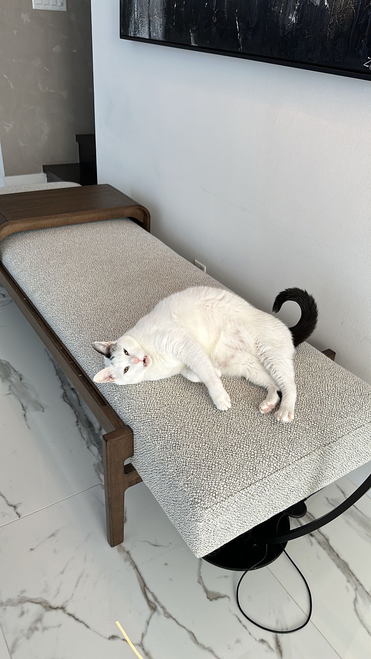 yaslenxoxo snapchat image archive image