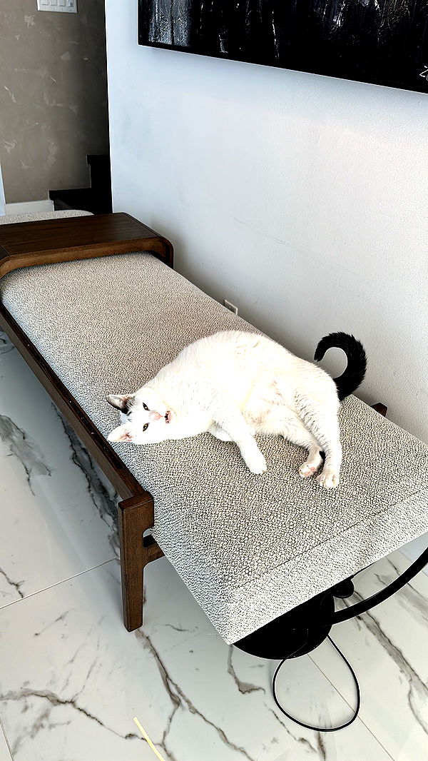 yaslenxoxo image ~ Altpins