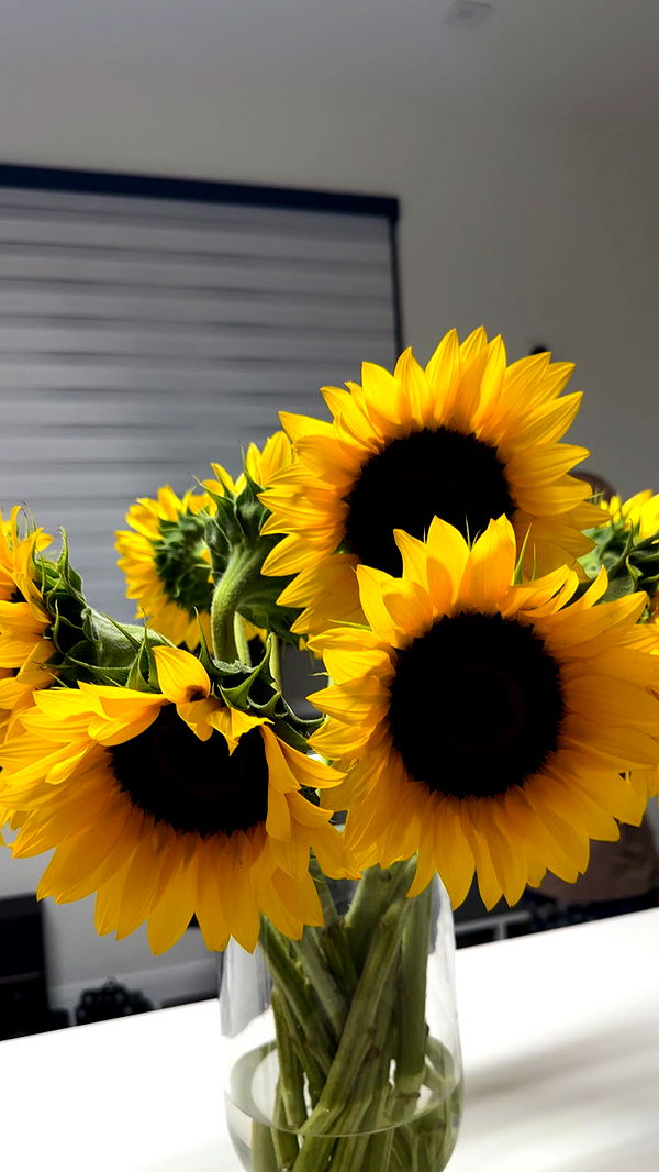 yaslenxoxo image ~ Altpins