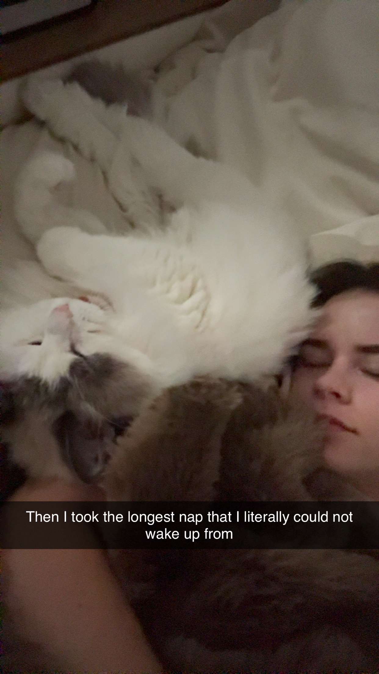 yaslenxoxo snapchat image archive image