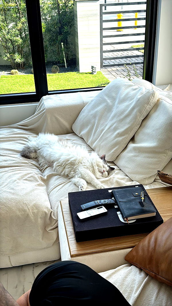 yaslenxoxo image ~ Altpins