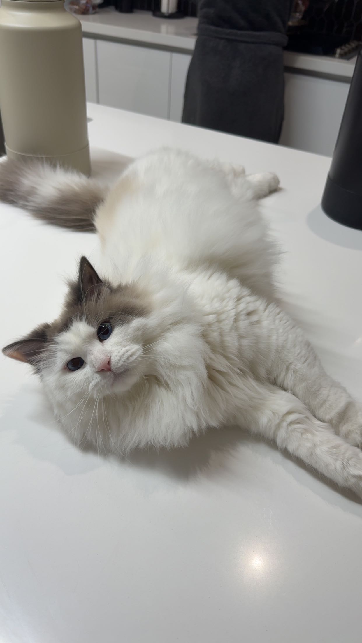 yaslenxoxo snapchat image archive image