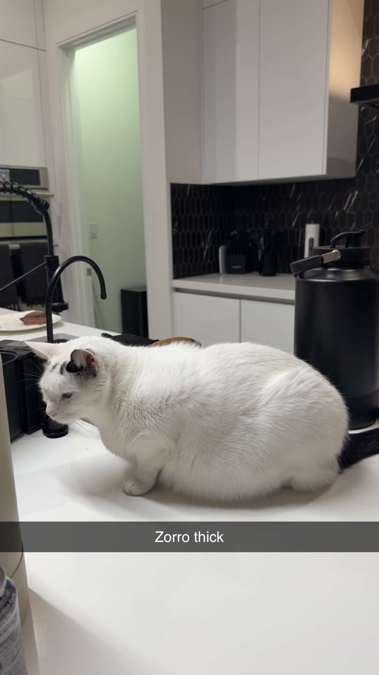 yaslenxoxo snapchat image archive image