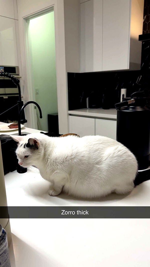 yaslenxoxo image ~ Altpins