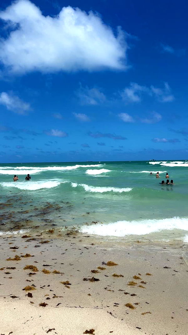 yaslenxoxo image ~ Altpins