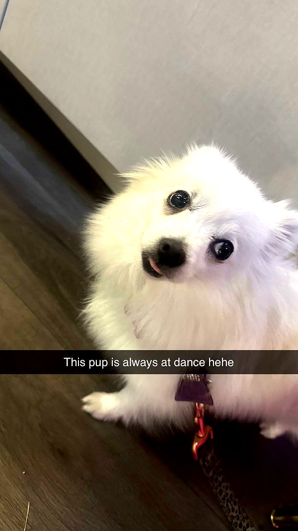 yaslenxoxo image ~ Altpins