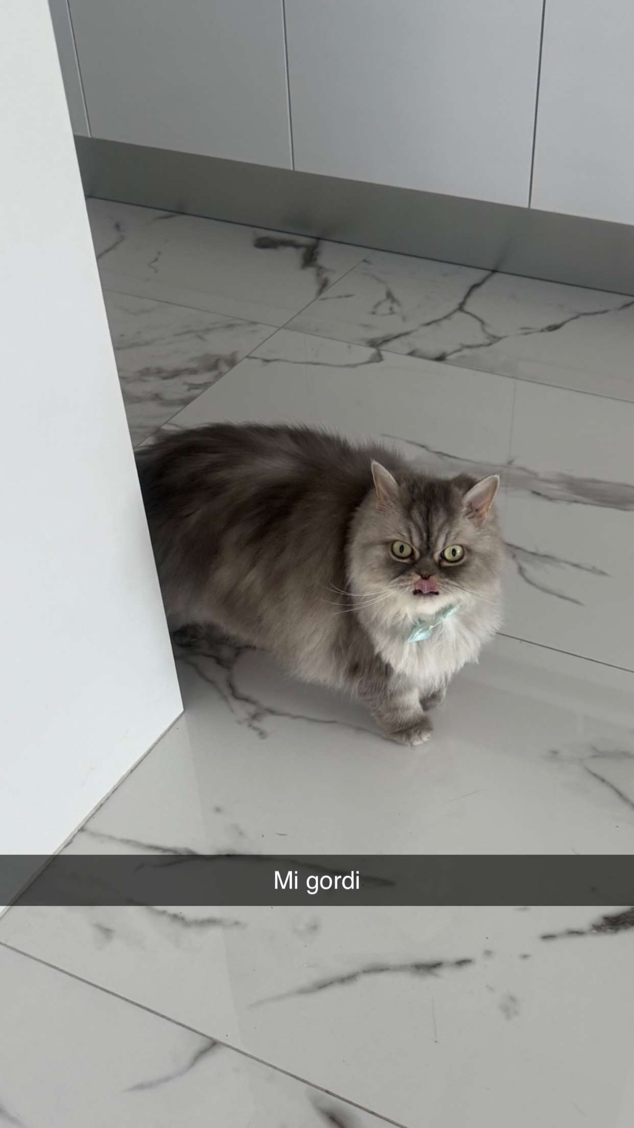 yaslenxoxo snapchat image archive image