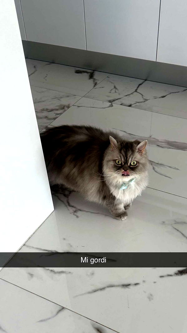 yaslenxoxo image ~ Altpins