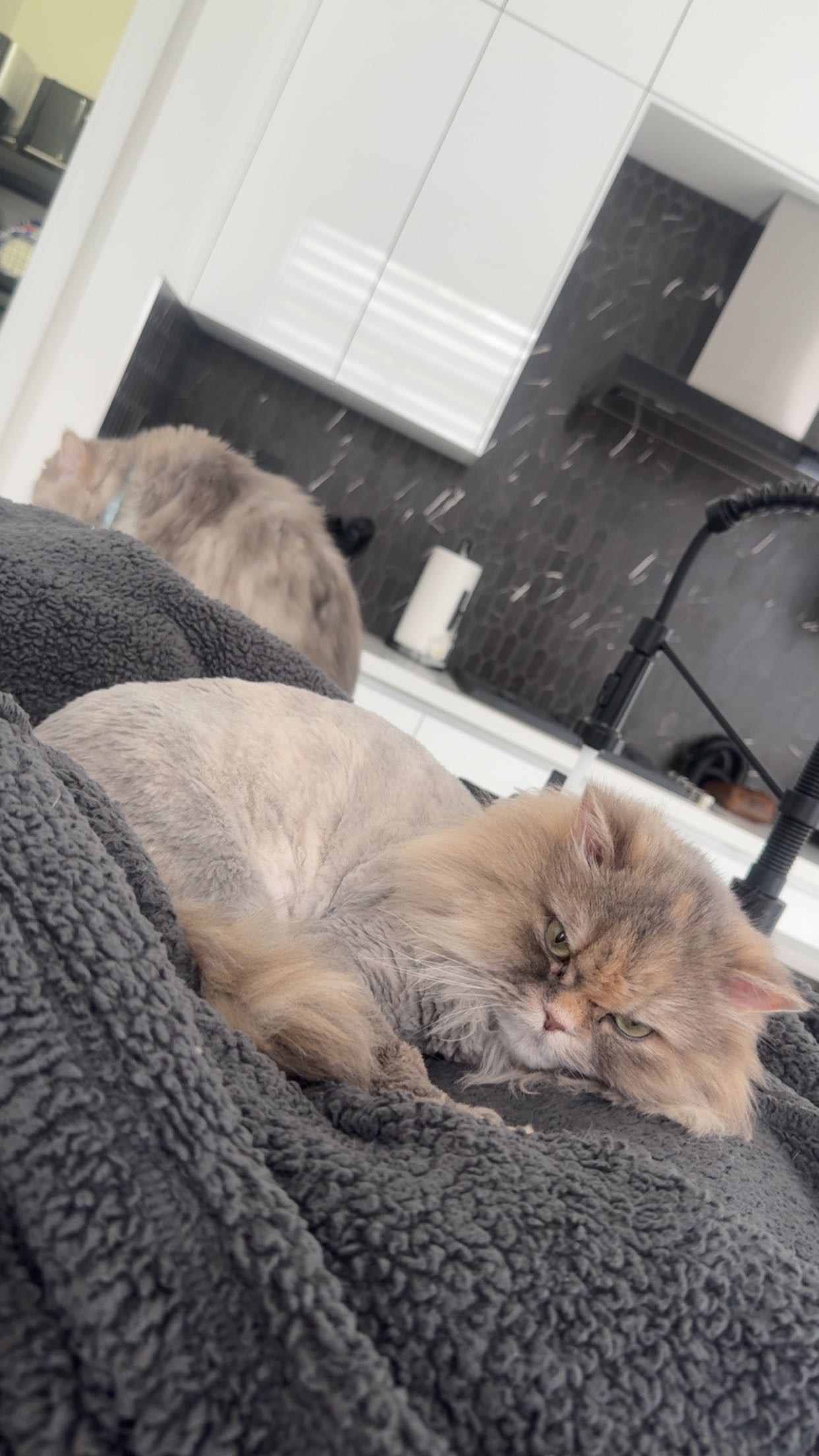 yaslenxoxo snapchat image archive image