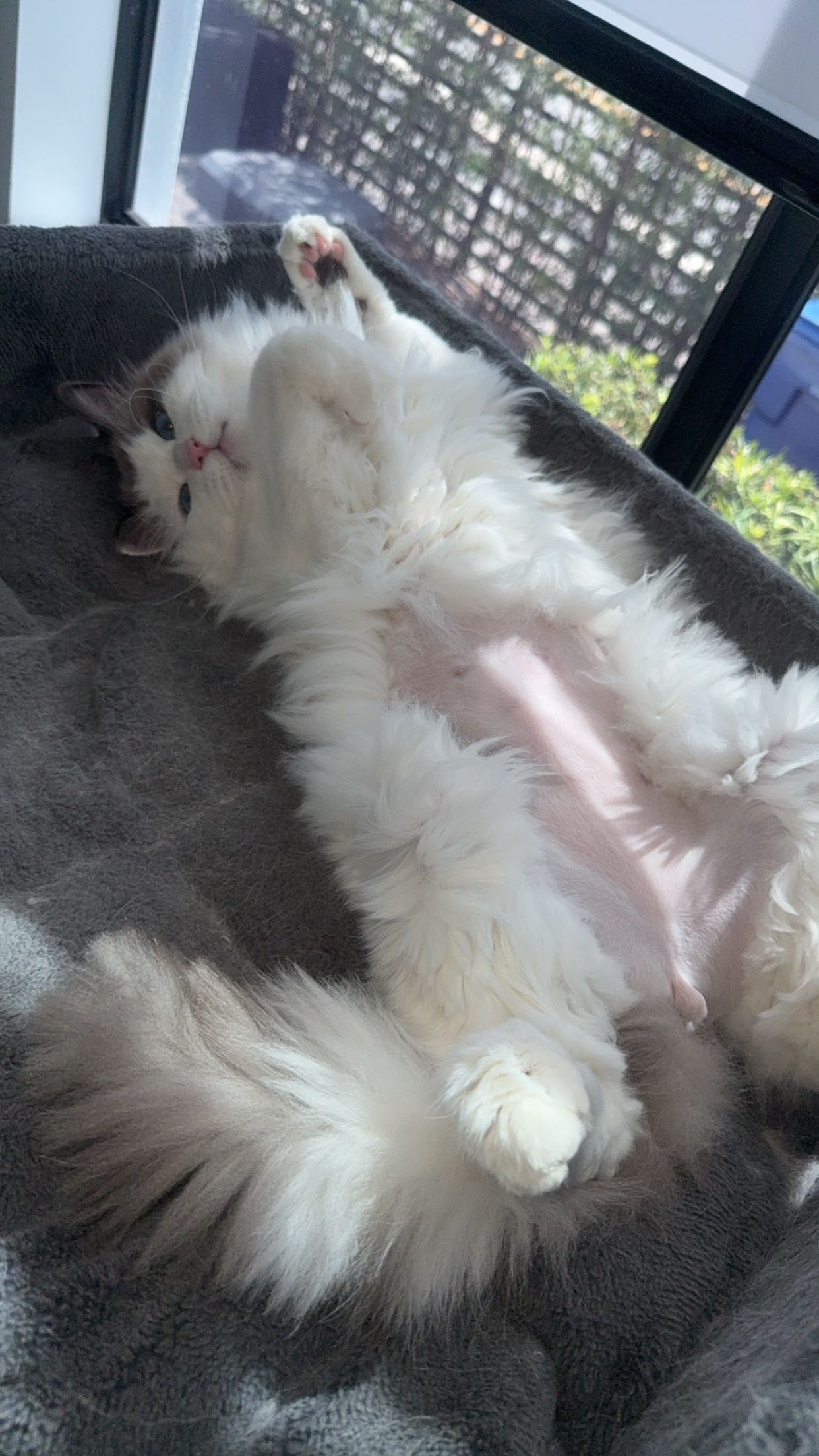 yaslenxoxo snapchat image archive image