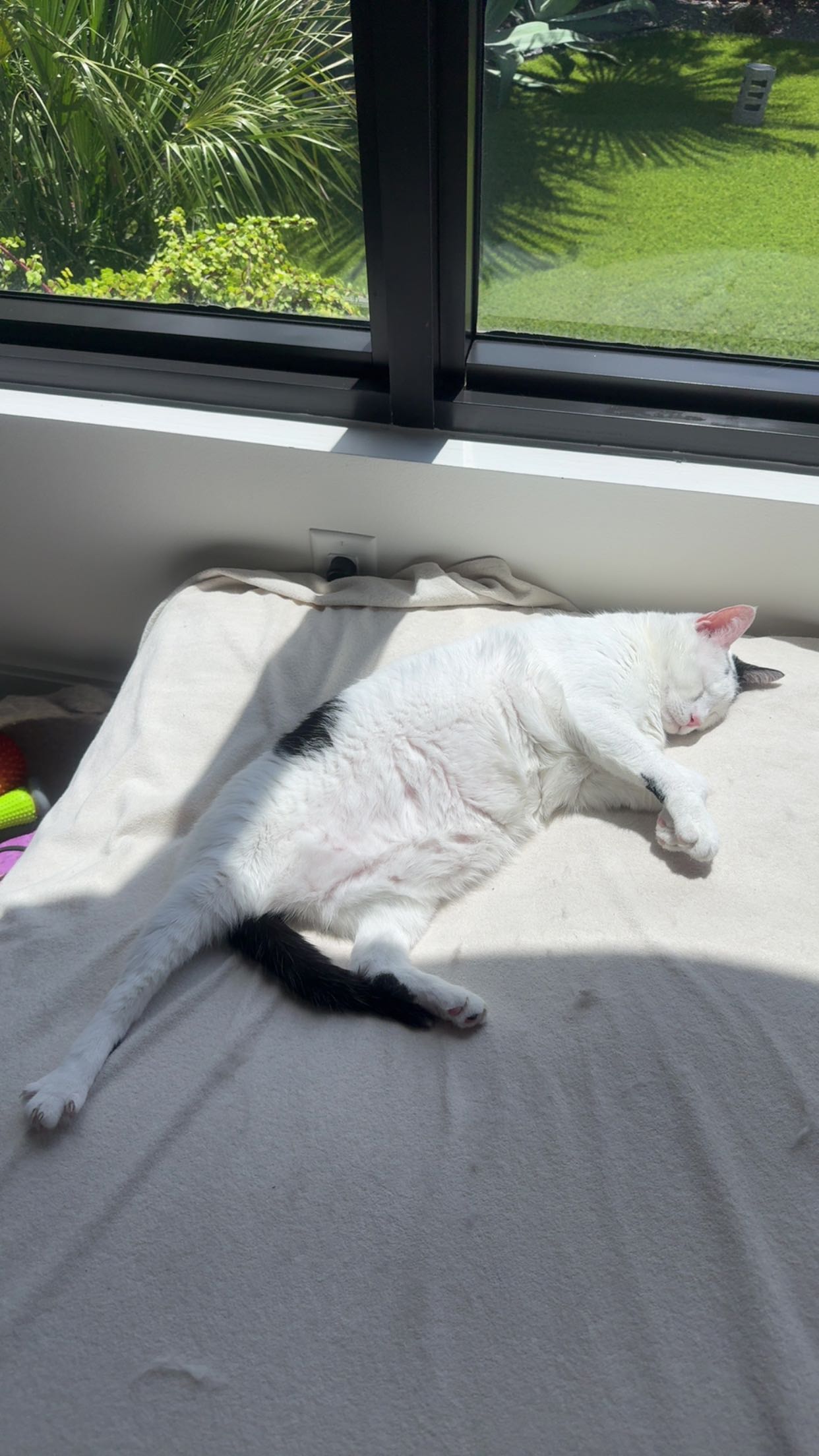 yaslenxoxo snapchat image archive image