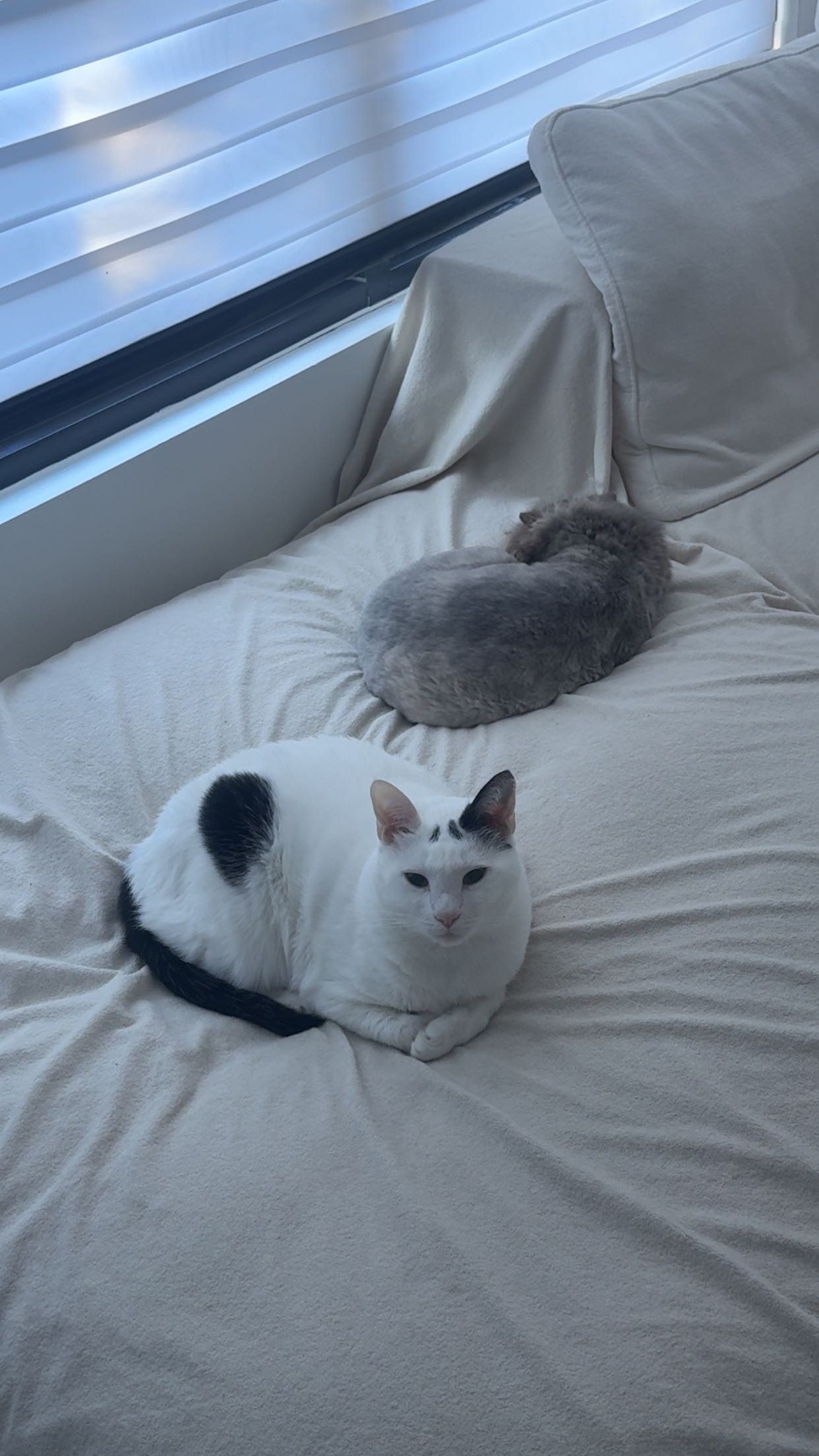 yaslenxoxo snapchat image archive image