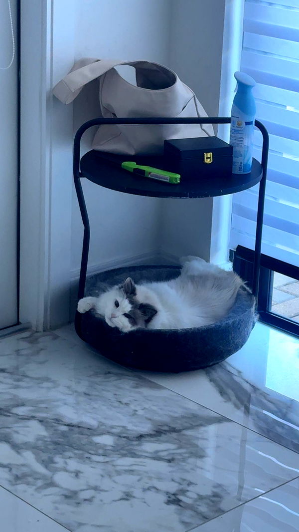 yaslenxoxo image ~ Altpins