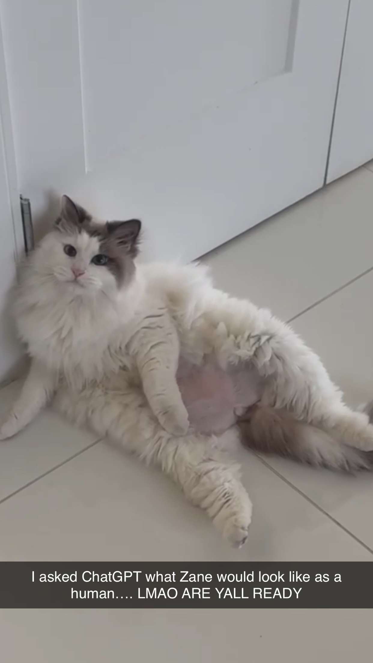 yaslenxoxo snapchat image archive image