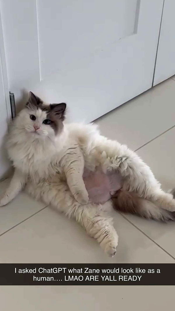 yaslenxoxo image ~ Altpins