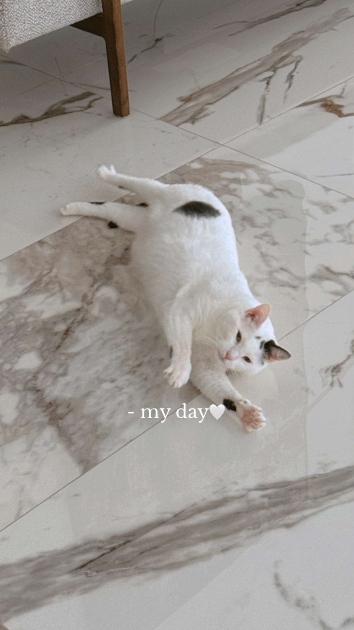 yaslenxoxo snapchat image archive image