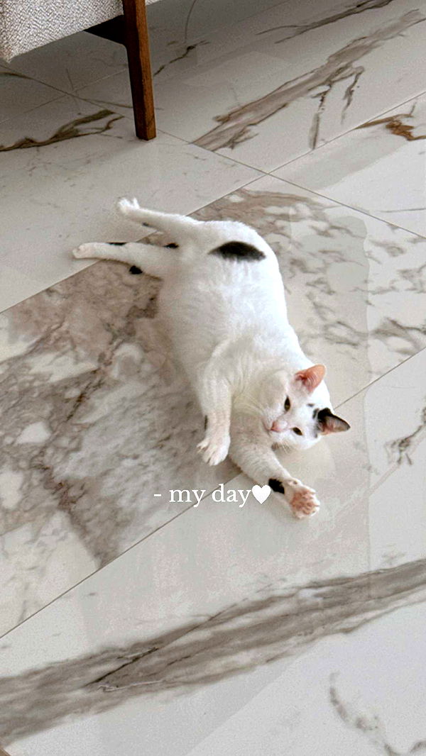 yaslenxoxo image ~ Altpins