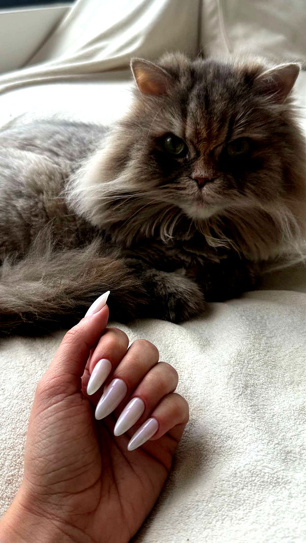 yaslenxoxo image ~ Altpins