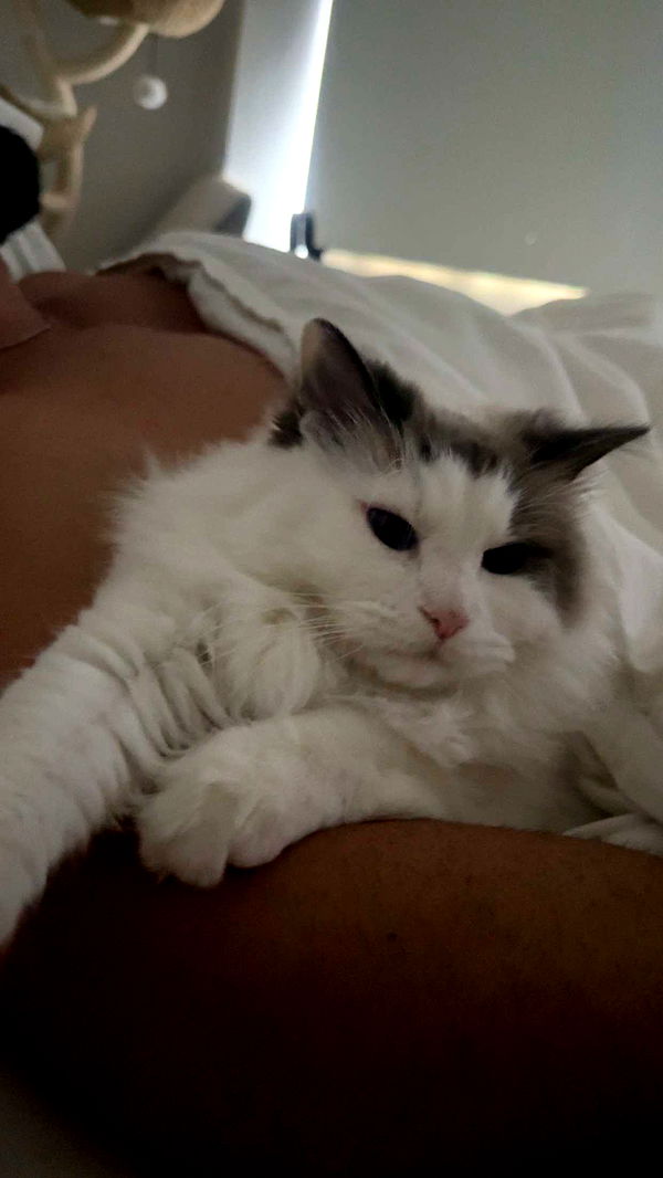 yaslenxoxo image ~ Altpins