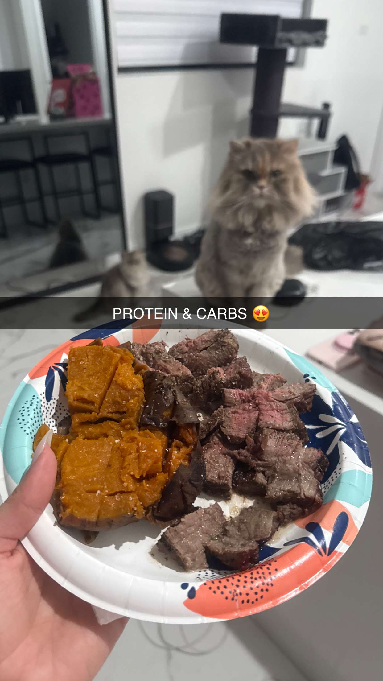 yaslenxoxo snapchat image archive image