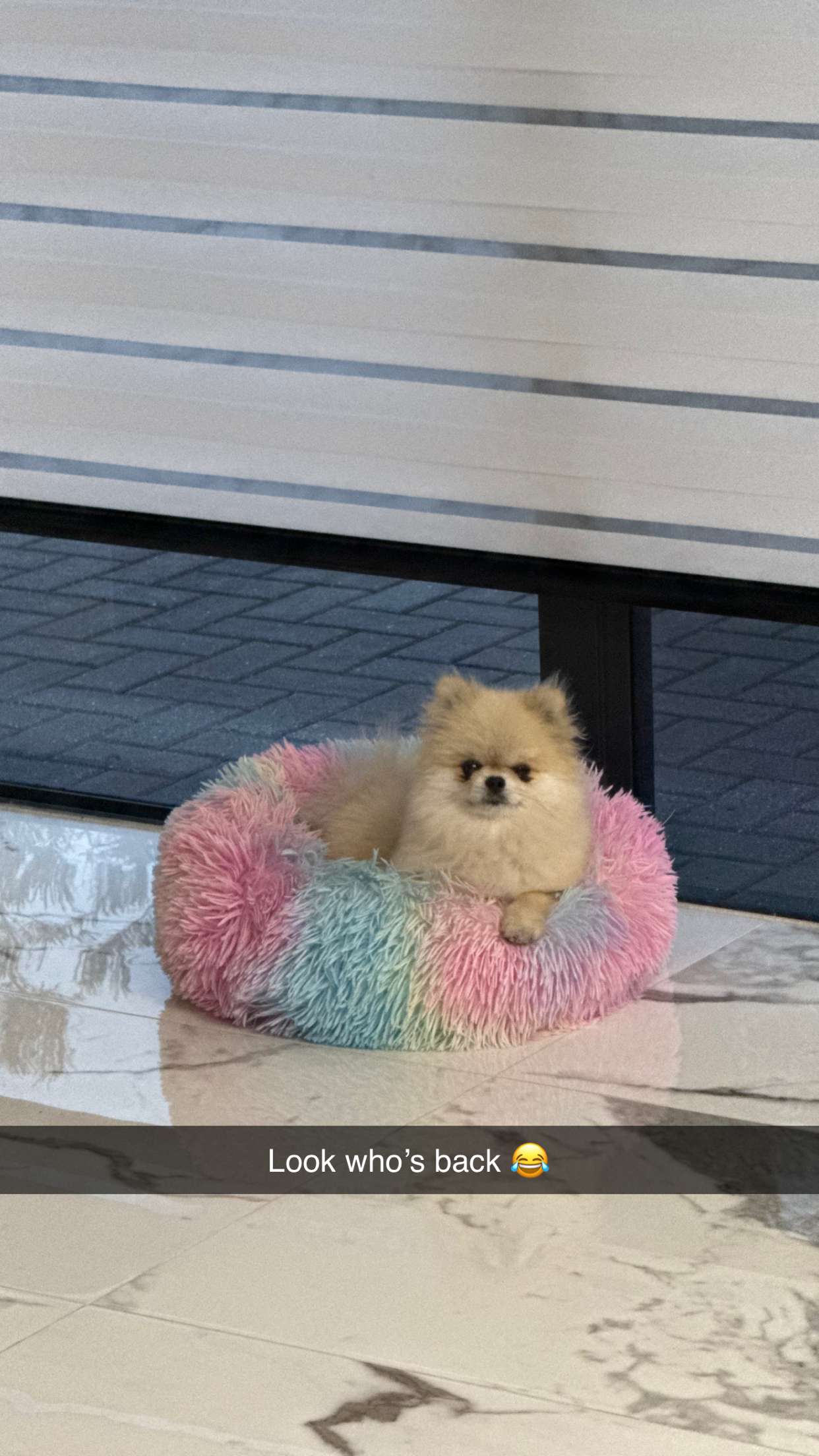 yaslenxoxo snapchat image archive image