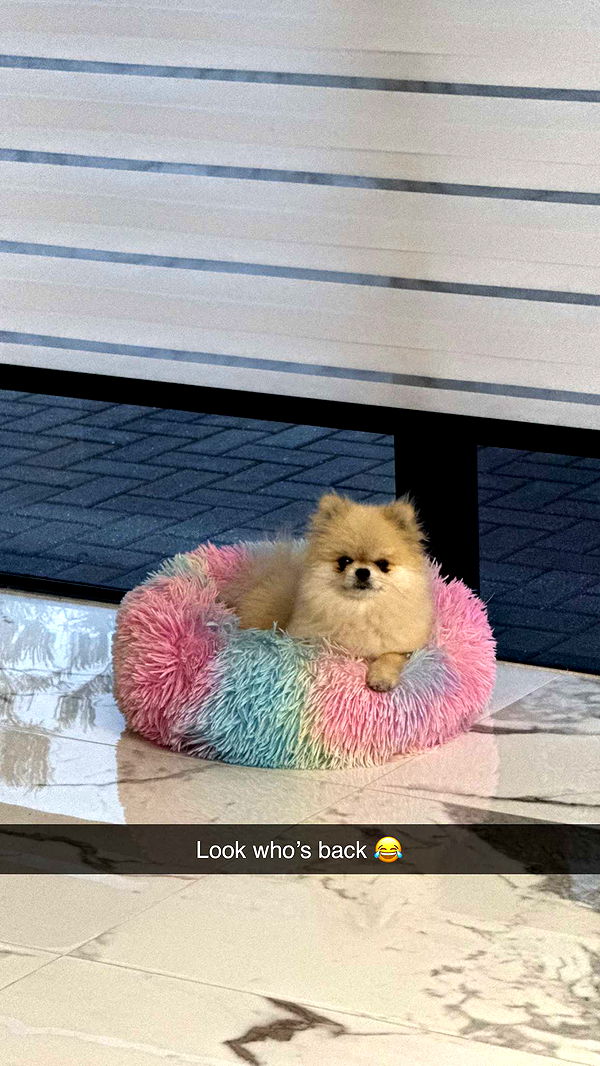 yaslenxoxo image ~ Altpins