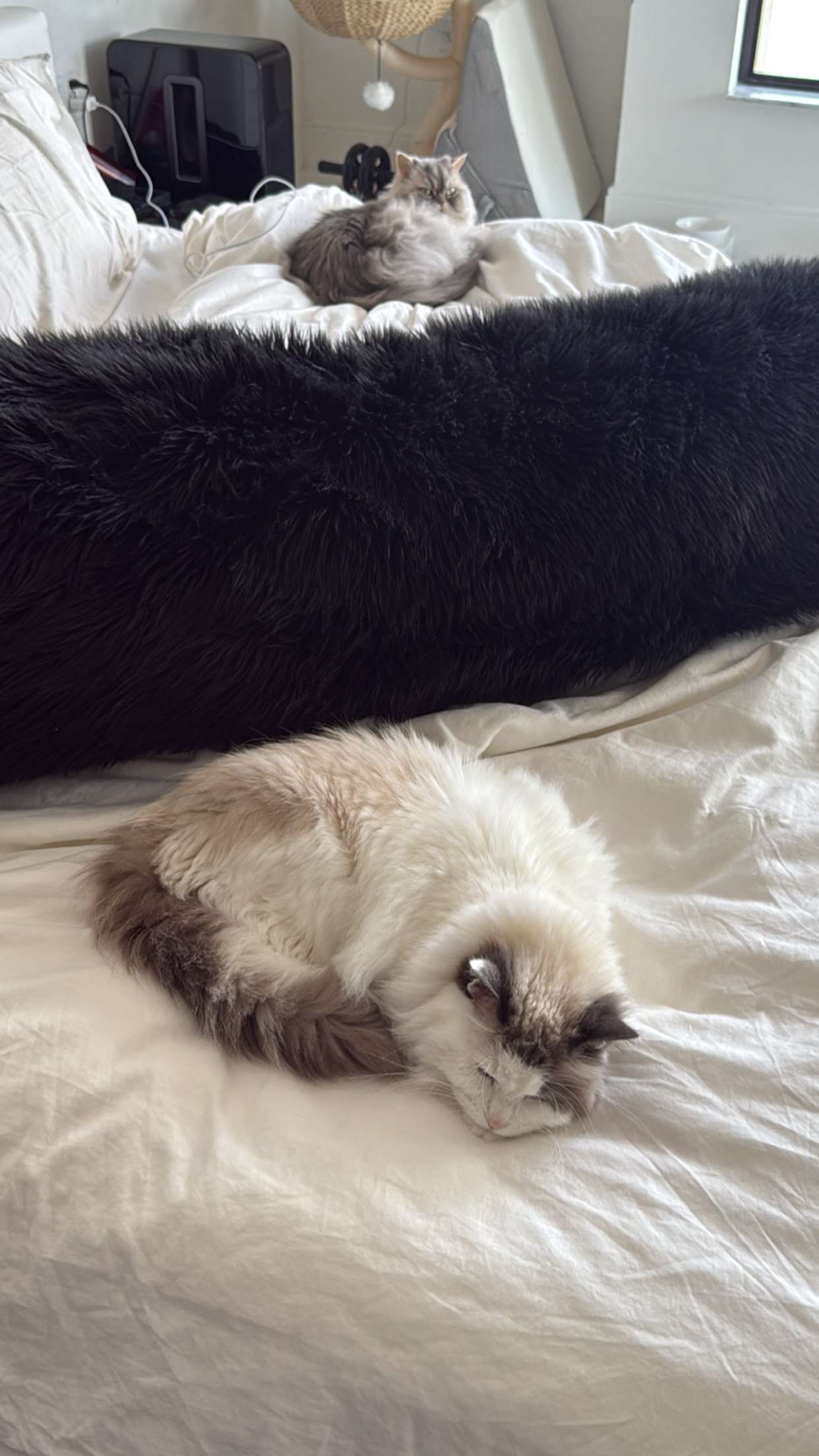 yaslenxoxo snapchat image archive image