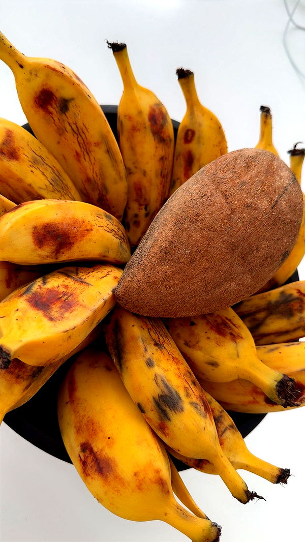 yaslenxoxo image ~ Altpins