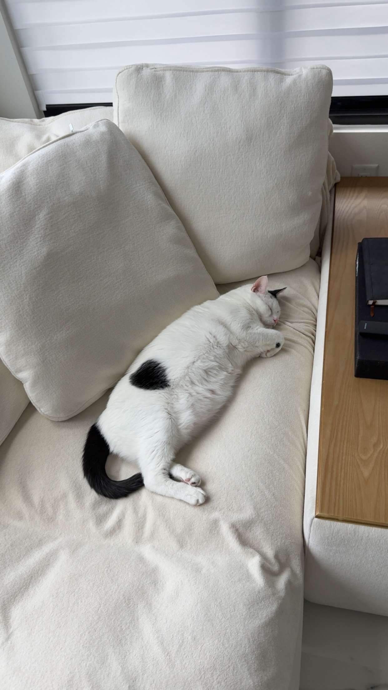 yaslenxoxo snapchat image archive image