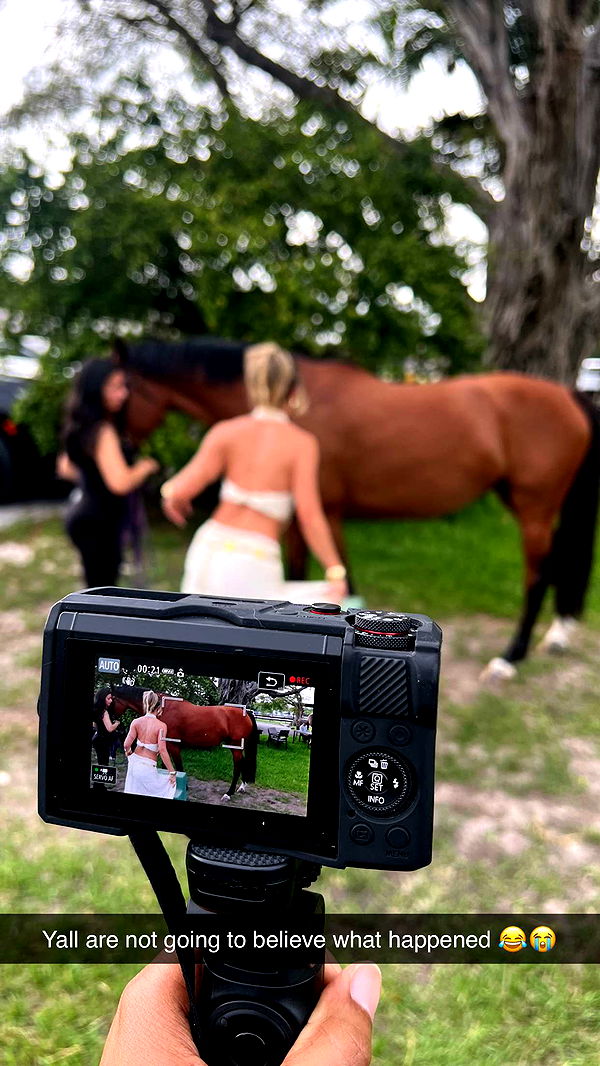 yaslenxoxo image ~ Altpins