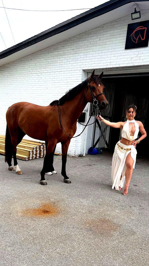 yaslenxoxo image ~ Altpins