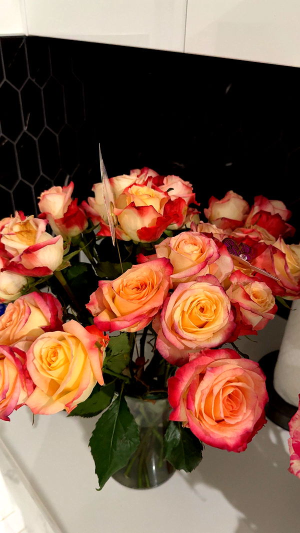 yaslenxoxo image ~ Altpins