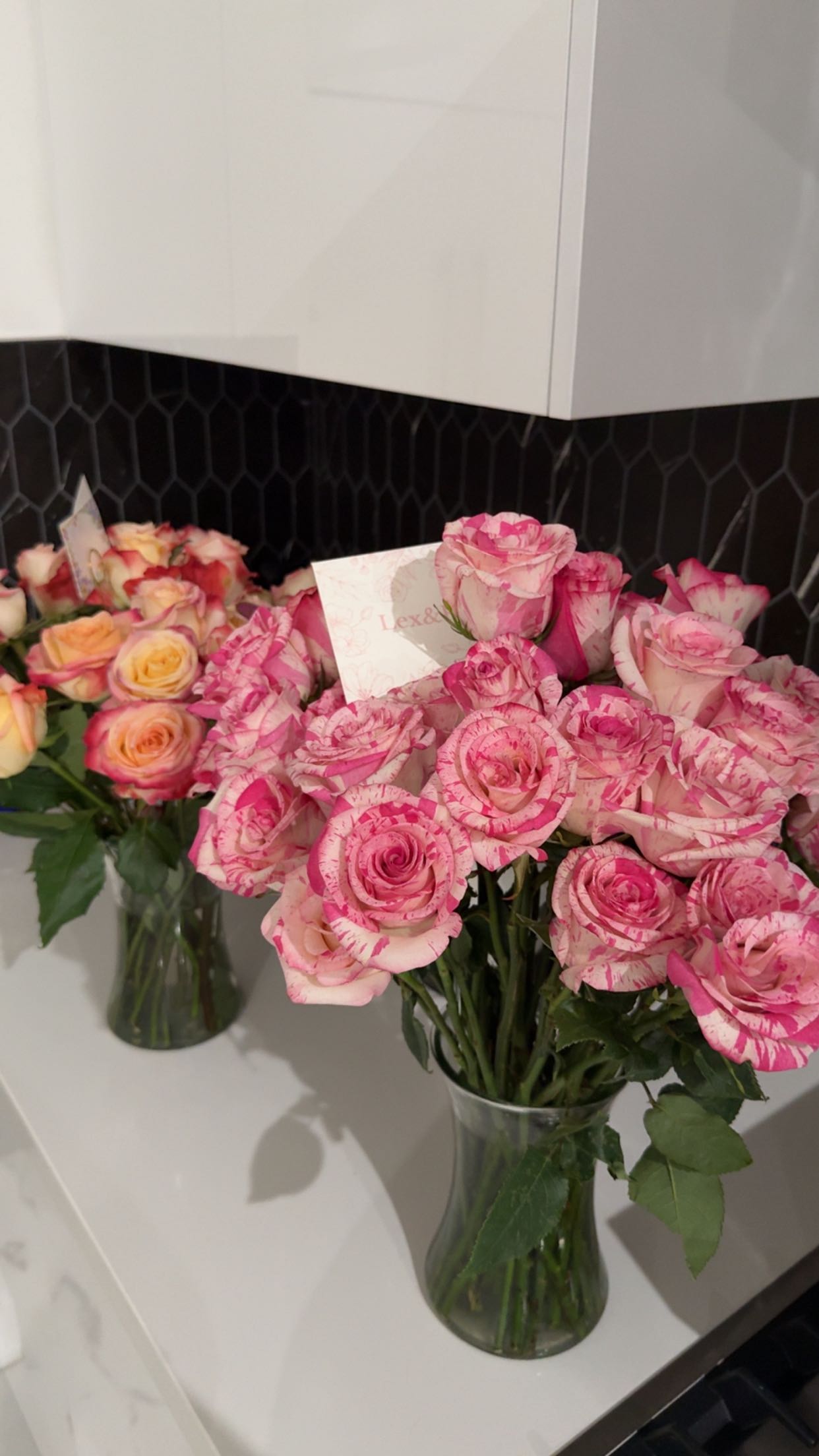 yaslenxoxo snapchat image archive image