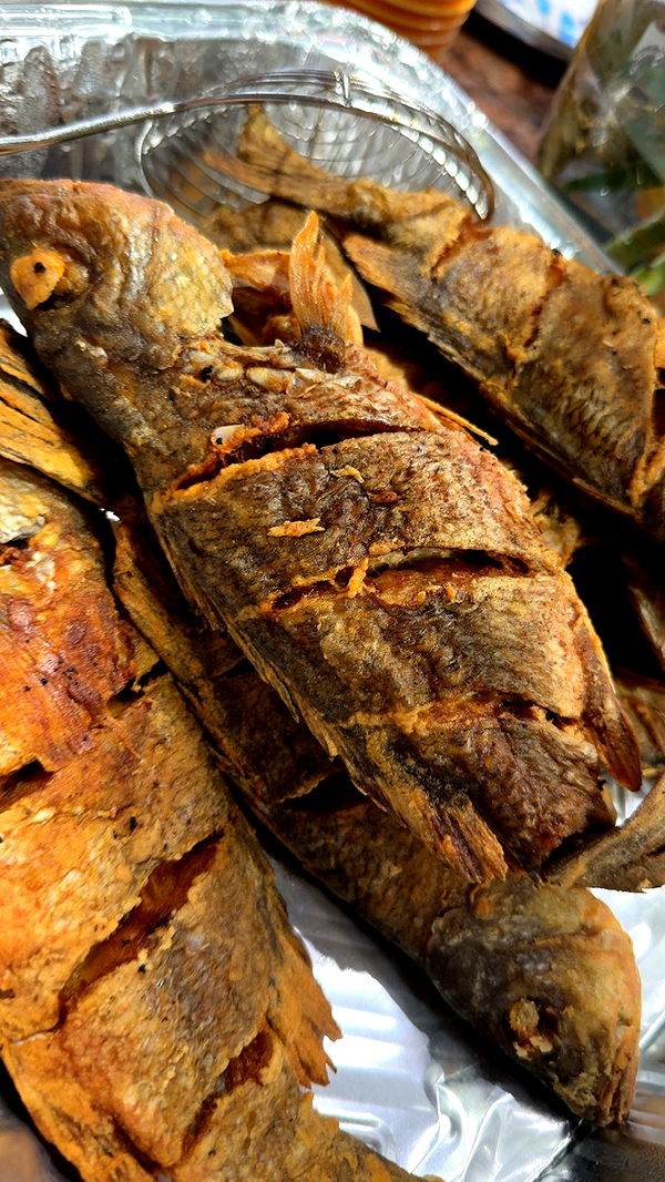 yaslenxoxo image ~ Altpins