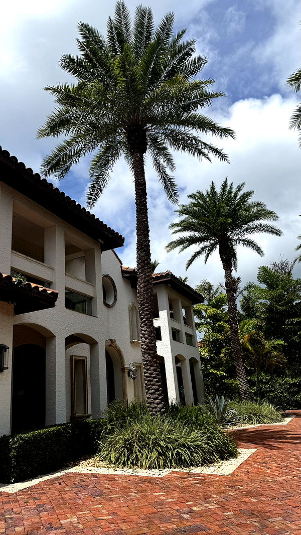 yaslenxoxo image ~ Altpins