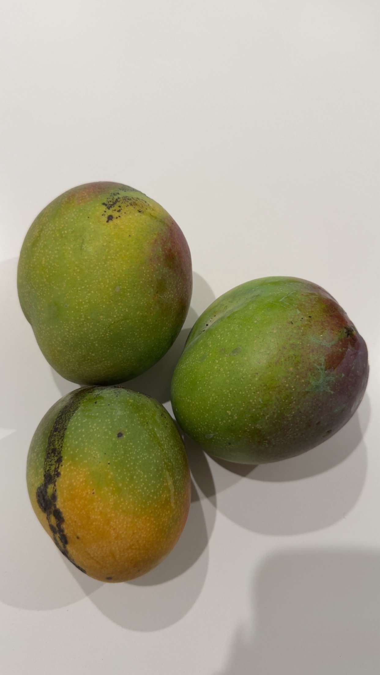 yaslenxoxo snapchat image archive image