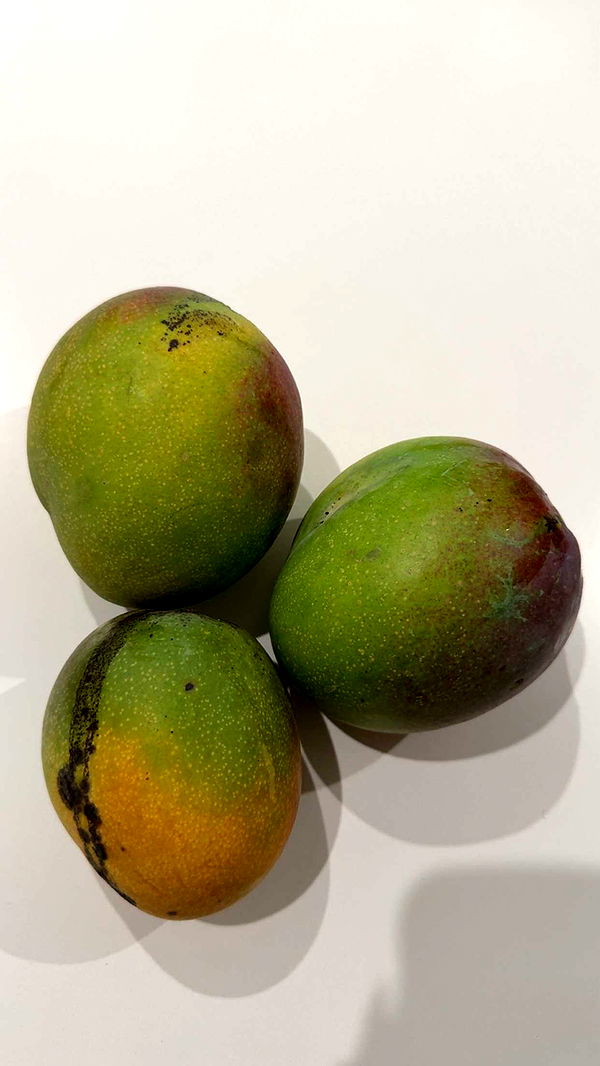 yaslenxoxo image ~ Altpins