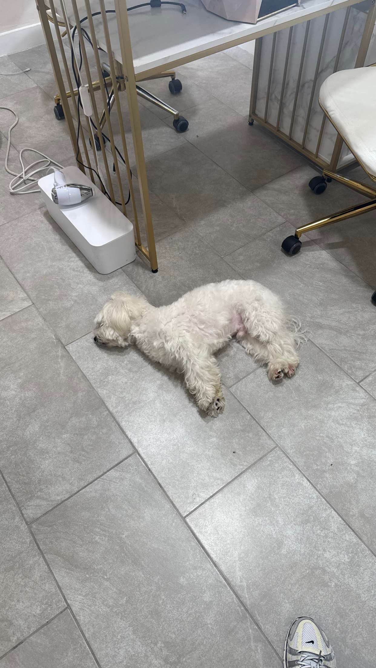 yaslenxoxo snapchat image archive image